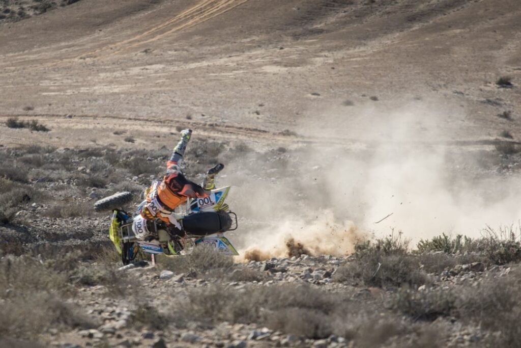 Atacama Rally 2018