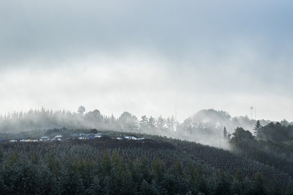 WRC Chile 2019